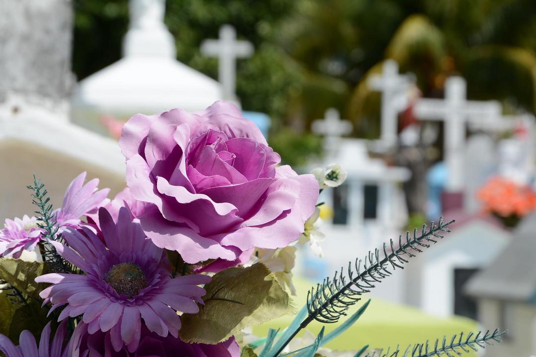 Seguro funeral amortece preocupação com despesas inesperadas e procedimentos práticos para famílias enlutadas